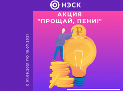 «НЭСК» напоминает об акции «Прощай, пени!»