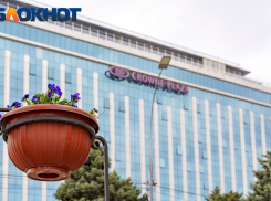 Главное в Краснодаре: девушка из «Кубани» погибла, Кондратьева заметили с грушей, в Японский сад через забор, пиво на дороге, а застройщика осудят