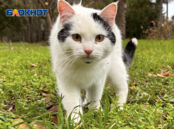 До +16 градусов прогреется воздух в Краснодарском крае, но выпадет мокрый снег