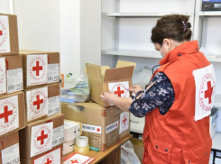 В Краснодаре раздадут продуктовые карточки беженцам Донбасса