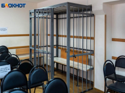 19-летнего краснодарца приговорили к 12 годам строго режима за интимные фото и видео девятилетней девочки