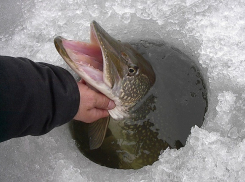 На Кубани спасатели рассказали, как сделать зимнюю рыбалку безопасной
