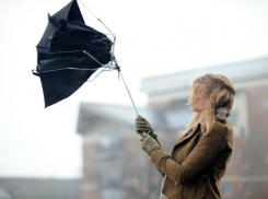 На Кубань вернулись дожди и сильный ветер