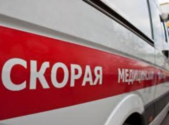 Бродячая собака искусала 3-летнюю девочку под Новороссийском