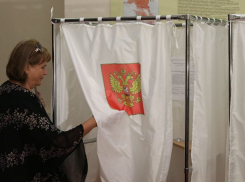  Коронавирус против Конституции: эксперты о референдуме по поправкам в главный закон России 