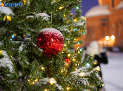 В Краснодаре создали карту ёлочных базаров