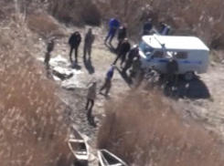 На Кубани у браконьеров изъяли 5 тысяч особей тарани