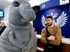 Сочинец полгода ждал почтовую посылку и нашел её в общей коробке