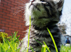 В Краснодарском крае наступило бабье лето