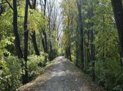 В Краснодаре потратят 20 млн рублей на благоустройство Тропы здоровья