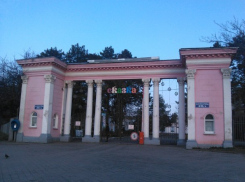  В детском саду «Сказка» в Краснодаре решили не строить многоэтажки 