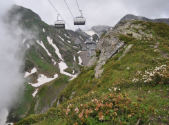 В состав Сочинского заказника может перейти часть территории Кавказского заповедника 