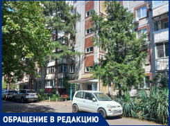 Тошнотворный запах и антисанитария: краснодарка заполонила квартиру кошками и кошмарит соседей
