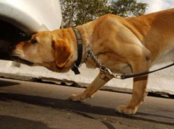 Жители Таджикистана были пойманы с наркотиками на выезде из Краснодара