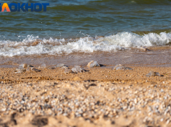 В Краснодарском крае озвучили смертельные опасности осеннего отдыха на Чёрном море