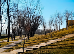 В парке Галицкого открыли новые прогулочные аллеи 