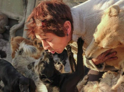 Сотни собак погибли при пожаре в приюте для беспризорных животных