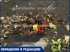 «Ненужный» рынок в «Шанхае» Краснодара привел к засорению ливневки