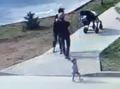 «Я не хочу забрать, я хочу не потерять»: «похитивший» ребенка в Краснодаре отец объяснил свой поступок