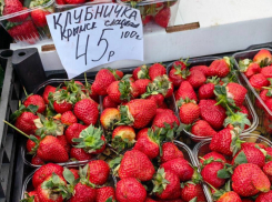 На ярмарке в Краснодаре нашли клубнику по 45 рублей