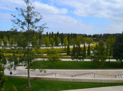 Большой фоторепортаж: как Галицкий прогулялся по своему знаменитому парку в Краснодаре 