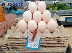 В Краснодарском крае при росте цен уменьшилось поголовье кур и производство яиц