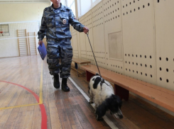 Полиция Краснодара проверяет сообщение о заминировании административных зданий в Краснодаре