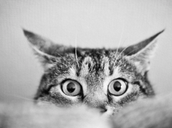 Холодно и облачно будет в Краснодаре