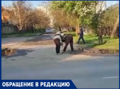 Разъяренная краснодарка набросилась на девушку из-за лая собак