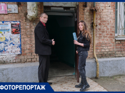 «Тонны помёта, мёртвые голуби и тараканы»: как краснодарец борется за чистоту чердака своего дома