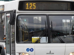 Суд просят признать «Сочиавтотранс» банкротом