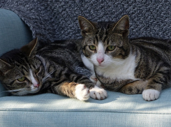  Столбики термометров на Кубани перевалят за отметку в +30 