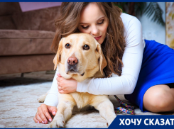 «Виновные должны быть наказаны»: в Краснодаре таксист отказался везти незрячую девушку с собакой-проводником