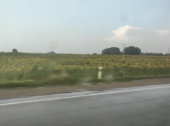 В Краснодарском крае начались ливни и пыльные бури