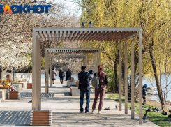 Мэр Краснодара рассказал о благоустройстве территорий вдоль семи Карасунских прудов