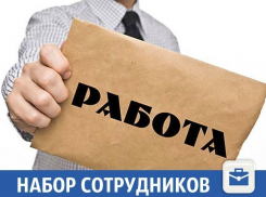 Работа для каждого найдется в Краснодаре