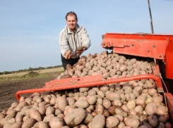Кондратьев готов использовать на Кубани опыт советской потребкооперации 