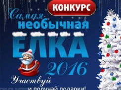 Началось голосование в конкурсе «Самая необычная елка 2016»