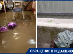 «Топит грядки, гараж и даже туалет»: под воду ушел двор у жителей Кубани 