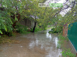 Ливневки не справились: в Кропоткине из-за сильного дождя подтопило придомовые территории
