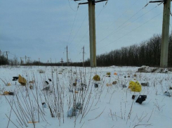 В Липецкой области украли сотни посылок жителей Кубани