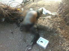 Шокирующие фото неизвестного трупа сделали на Кубани