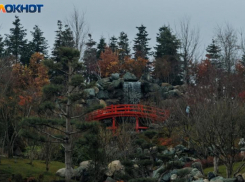 После морозов в Краснодар постепенно возвращается тепло