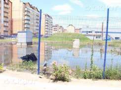 «Лента» сообщила о ликвидации болота в ближайшее время