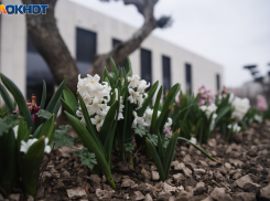 Краснодарцам придётся приготовить дождевики и зонтики