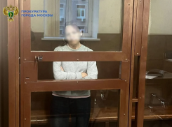 Толкнувшую ребёнка в метро краснодарку отправят на принудительное лечение