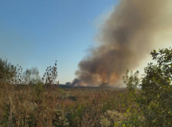  Под Краснодаром выжигают траву и травят местных жителей 