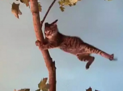 Ветрено, дождливо, но по-весеннему тепло в Краснодарском крае