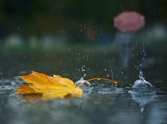 Кратковременные дожди после небывалой жары напомнят кубанцам об осени
