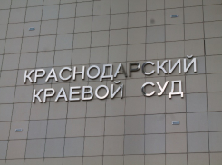 Двухлетний малыш разбил голову на батуте в Краснодаре